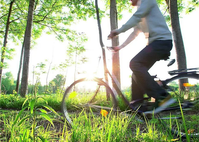 Appartementhotel Cura Hotel