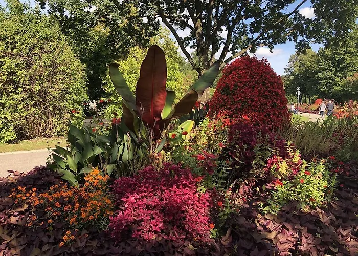 Hotel Appartementhotel Cura